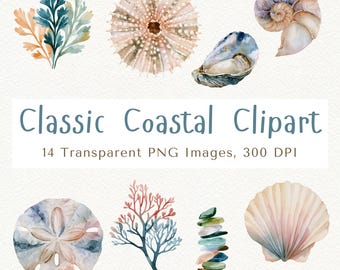 Coastal Sea Shells Clipart, Neutral Ocean Illustrations, SeaShell PNG