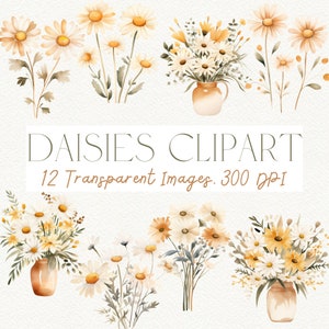Clipart marguerites, Clipart marguerite neutre, Marguerite PNG, Clipart Floral, Clipart Arrangement Marguerite, Clipart aquarelle, Clipart fleur Daisy