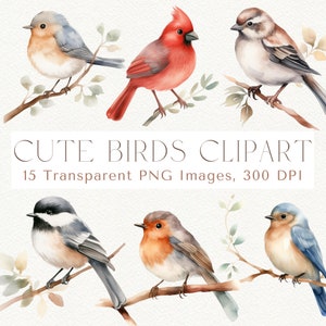 Clipart de pássaro fofo, clipart de pássaro, clipart de pássaro de inverno, clipart de pássaro, pássaros PNG, clipart de cardeal vermelho, pássaros e flores, pássaros no galho PNG