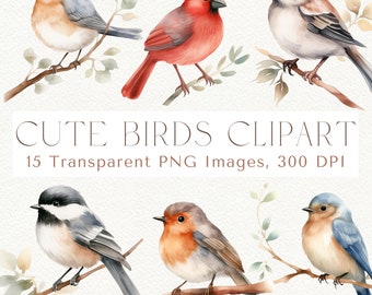 Winter Bird Clipart, Cardinal, Birds on Branch PNG (Digital Download)