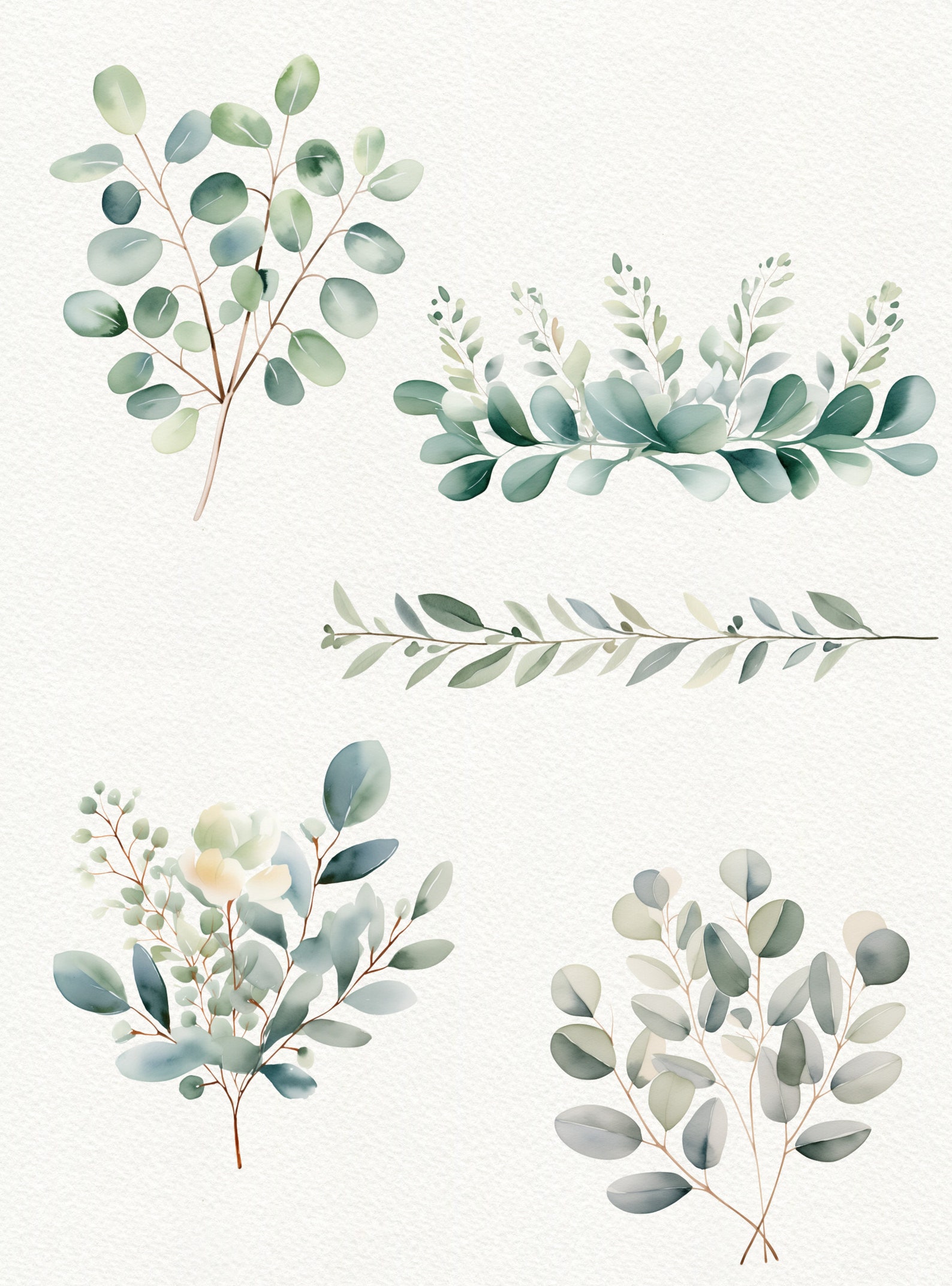Watercolor Eucalyptus Clipart: Greenery PNG Images (digital Download ...