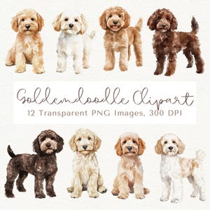 Goldendoodle-clipart, hond Clipart, Goldendoodle PNG, Golden Doodle PNG, hond PNG, puppyafbeeldingen, schattige hond Clipart, Golden Doodle, Doodles