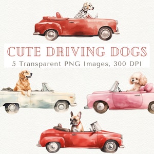 Dogs Driving Cars Clipart, Dog Clipart, Cute Dog Clipart, Dog PNG, Dogs Clipart, Dogs and Cars PNG, Dog Clip Art, Clipart for Kids, Car PNG