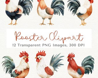 Gallo: 12 imágenes PNG de animales de granja (descarga digital)