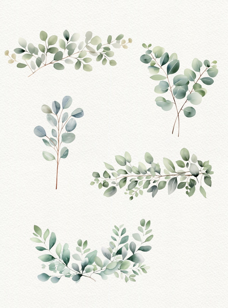 Watercolor Eucalyptus Clipart: Greenery PNG Images (digital Download ...
