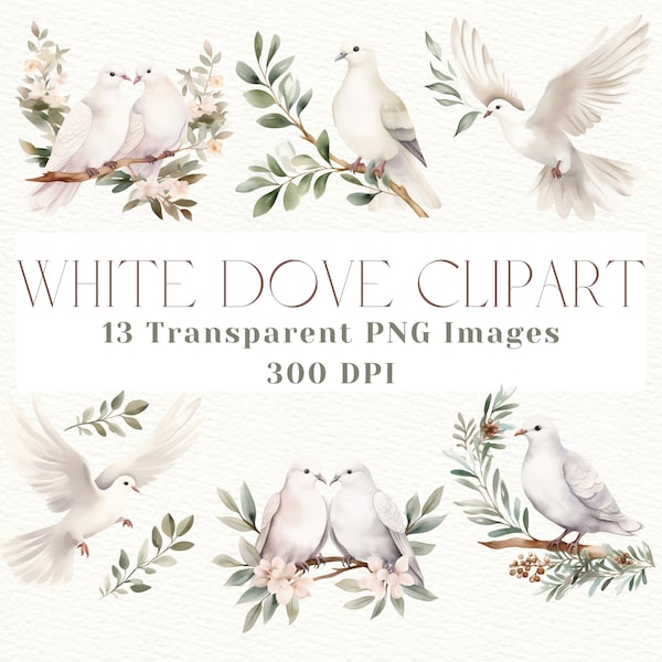 Dove Clipart, White Dove PNG, Doves Clipart, Dove with Olive Branch, Bird Clipart, Watercolor Dove Clipart, Bird Clip Art, Dove Designs