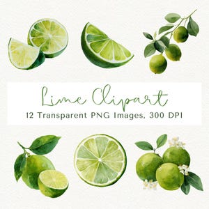 May include: A watercolour illustration of lime clipart, showing sliced and whole limes, with leaves and blossoms. The image includes the text "Lime Clipart" and details about the number of images and resolution.