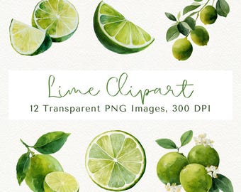 Clipart de Lima em Aquarela PNG, Gráficos de Frutas Cítricas de Verão (Download Digital)