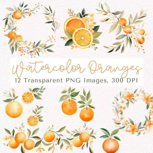 Watercolor Orange Clipart, Citrus Clipart, Oranges Clipart, Fruit Clipart, Orange Branches, Orange Blossom Clipart, Oranges PNG