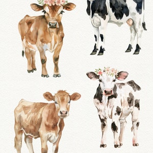 Cow Watercolor Clipart, Farm Animal PNG Graphics (digital Download) - Etsy