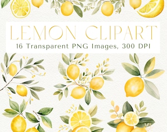 Watercolor Lemon Clipart: Boho Fruit PNG Images (Digital Download)