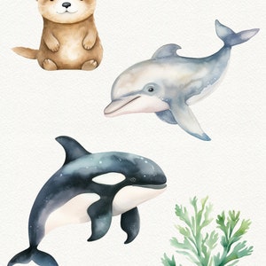 May include: Watercolor illustration of a brown otter, a gray dolphin, a black and white orca, and green seaweed. The animals are all facing forward and are drawn in a cartoon style.