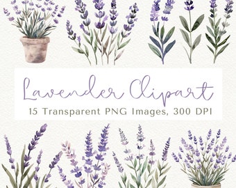 Watercolor Lavender Clipart: Purple Floral PNG Images (Digital Download)