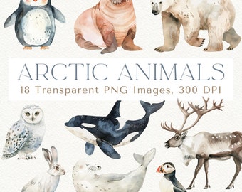 Watercolor Arctic Animal Clipart: Winter PNG Images (300 DPI)