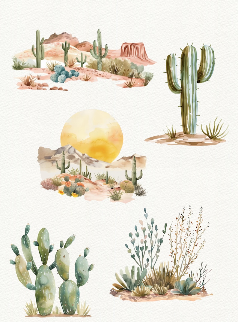 May include: Watercolour illustrations of various desert plants, including cacti, succulents, and desert shrubs. The illustrations are painted in shades of green, brown, and beige, and are set against a white background.