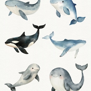 Puede incluir: Ilustraci&oacute;n de acuarela de seis ballenas diferentes en varias poses. Las ballenas est&aacute;n pintadas en tonos de azul y gris, con algunos detalles en negro. Las ballenas se representan nadando y saltando en un estilo caprichoso.