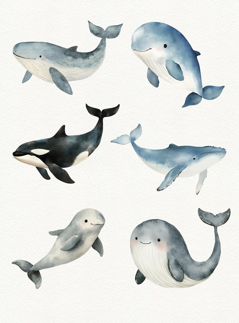 Puede incluir: Ilustraci&oacute;n de acuarela de seis ballenas diferentes en varias poses. Las ballenas est&aacute;n pintadas en tonos de azul y gris, con algunos detalles en negro. Las ballenas se representan nadando y saltando en un estilo caprichoso.