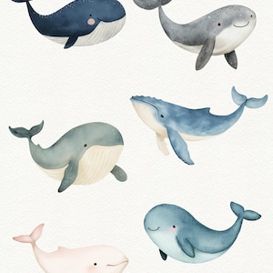 Puede incluir: Seis ilustraciones de acuarela de ballenas en varias poses. Las ballenas son azules, grises y rosas con detalles blancos. Tienen caras sonrientes y se representan nadando en el oc&eacute;ano.