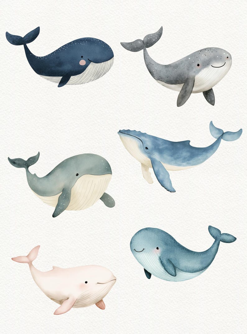 Puede incluir: Seis ilustraciones de acuarela de ballenas en varias poses. Las ballenas son azules, grises y rosas con detalles blancos. Tienen caras sonrientes y se representan nadando en el oc&eacute;ano.