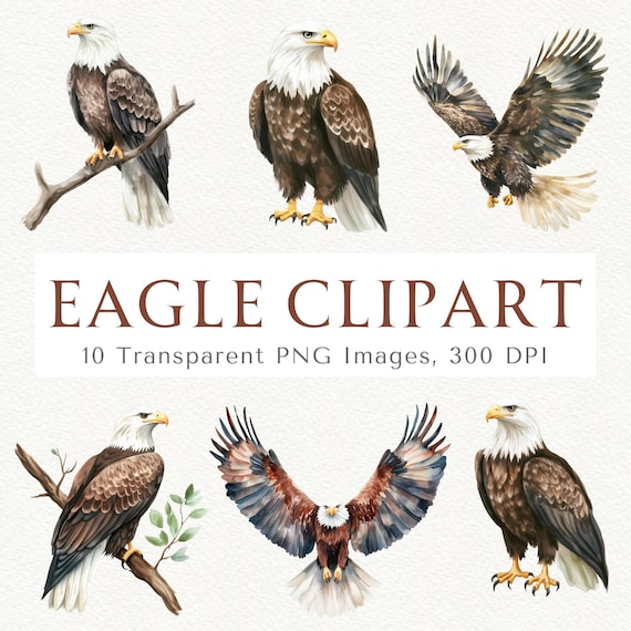 Eagle Clipart: 10 Flying Bald Eagle PNG Images (Digital Download)