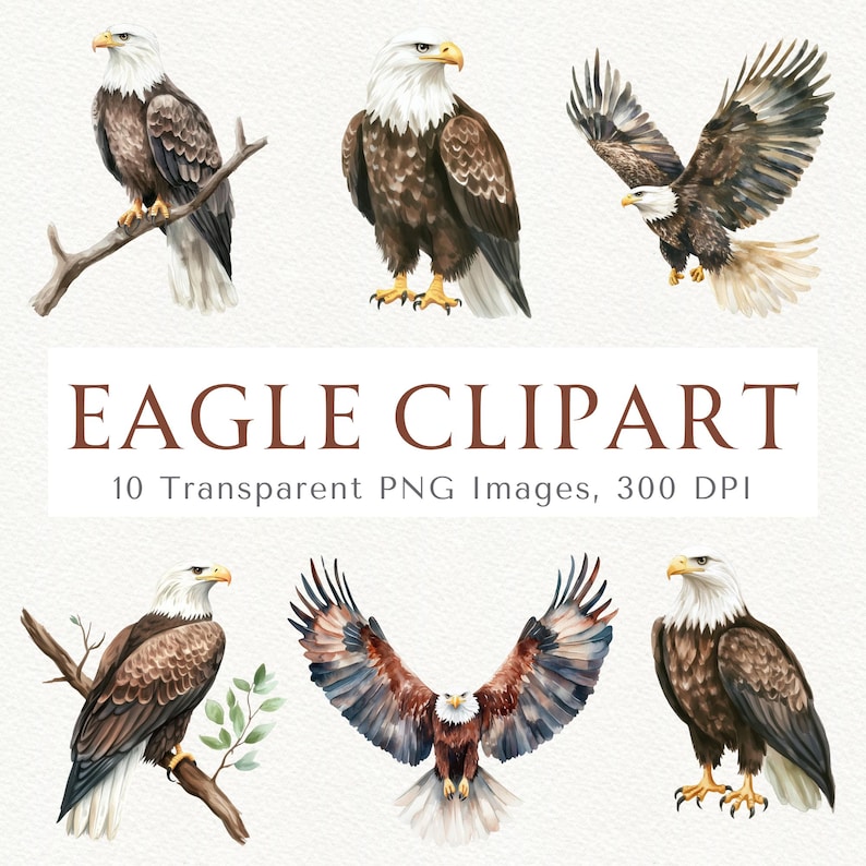 May include: A set of ten watercolor illustrations of bald eagles in various poses. The eagles are depicted with brown and white feathers, sharp beaks, and intense eyes. The illustrations are perfect for adding a touch of nature to your designs.