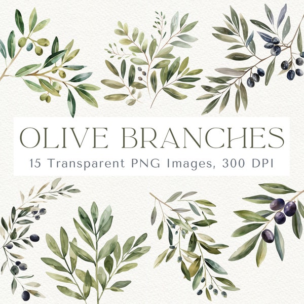 Olive Branch Clipart, Olive Branch PNG, Greenery Clipart, Botanical Clipart, Watercolor Greenery, Olives Clipart, Wedding Clipart, Olive PNG