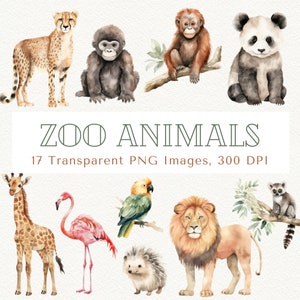 Imágenes prediseñadas de animales del zoológico, imágenes prediseñadas de animales de Safari, imágenes prediseñadas de animales lindos, imágenes prediseñadas de mono, imágenes prediseñadas de león, imágenes prediseñadas de animales del zoológico, imágenes prediseñadas de animales bebés
