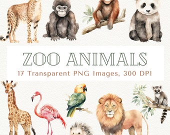 Akvarell zoodjur Clipart: Safaridjur PNG-bilder (digital nedladdning)