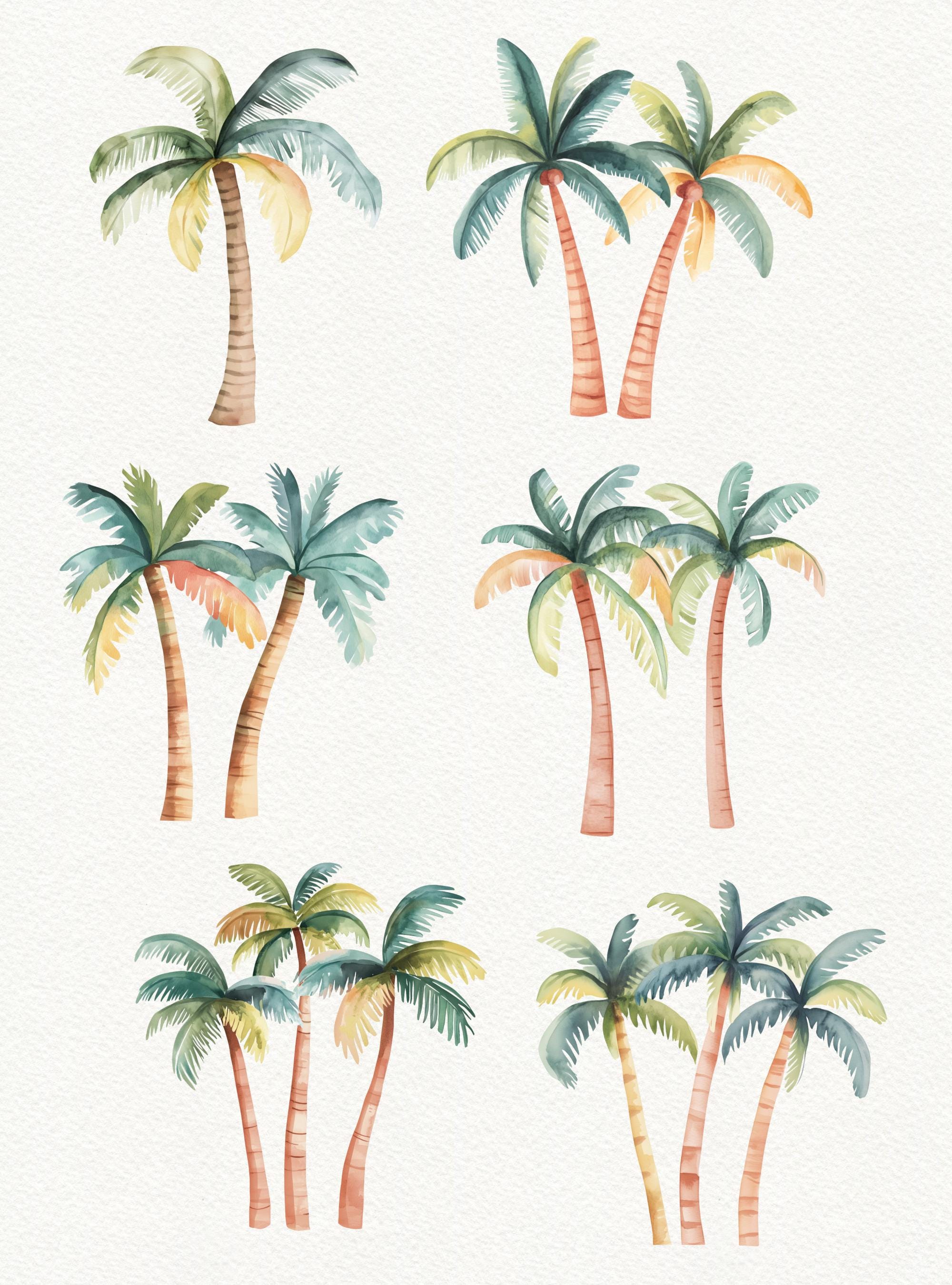 Tropical Palm Tree Clipart: Beach PNG Images (digital Download) - Etsy