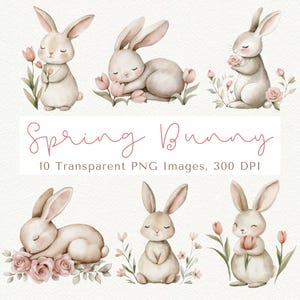 Sleeping Bunny Clipart, Cute Bunny Clipart, Spring Bunny Clipart, Easter Bunny PNG, Baby Shower Clipart, Bunny PNG, Spring Clipart
