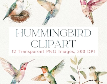 Colibrí en acuarela: Imágenes PNG de aves florales (descarga digital)