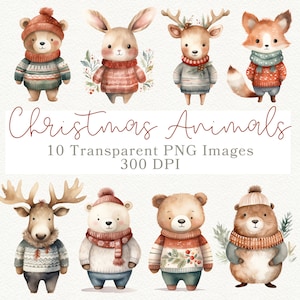 Weihnachten Tiere Clipart, Winter Tiere Clipart, Wald Weihnachten Clipart, Festliche Weihnachten Tier PNG, Weihnachten Pullover Clipart