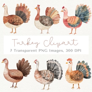 Niedliche Truthahn Clipart, Thanksgiving Truthahn Clipart, Thanksgiving Clipart, Truthahn PNG, Herbst Clipart, Truthahn Clip Art, Thanksgiving PNG