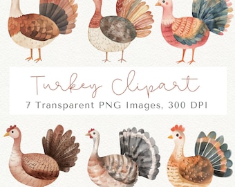 Thanksgiving Turkey Clipart, Autumn PNG Graphics (Digital Download)