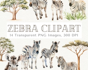 Aquarell Zebra Clipart: Safari Tier PNG Bilder (digitaler Download)