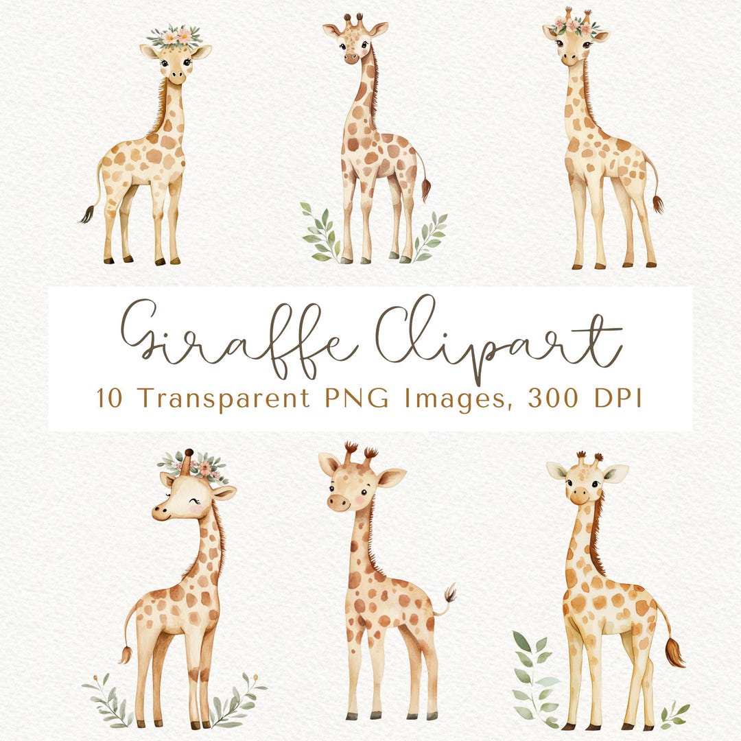 Giraffe Clipart, Safari Animal PNG Images (digital Download) - Etsy