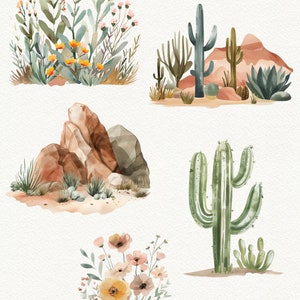 May include: Watercolour illustrations of desert plants and rocks. The illustrations include a variety of cacti, succulents, and flowers in shades of green, yellow, and pink. There are also brown rocks and a desert landscape.