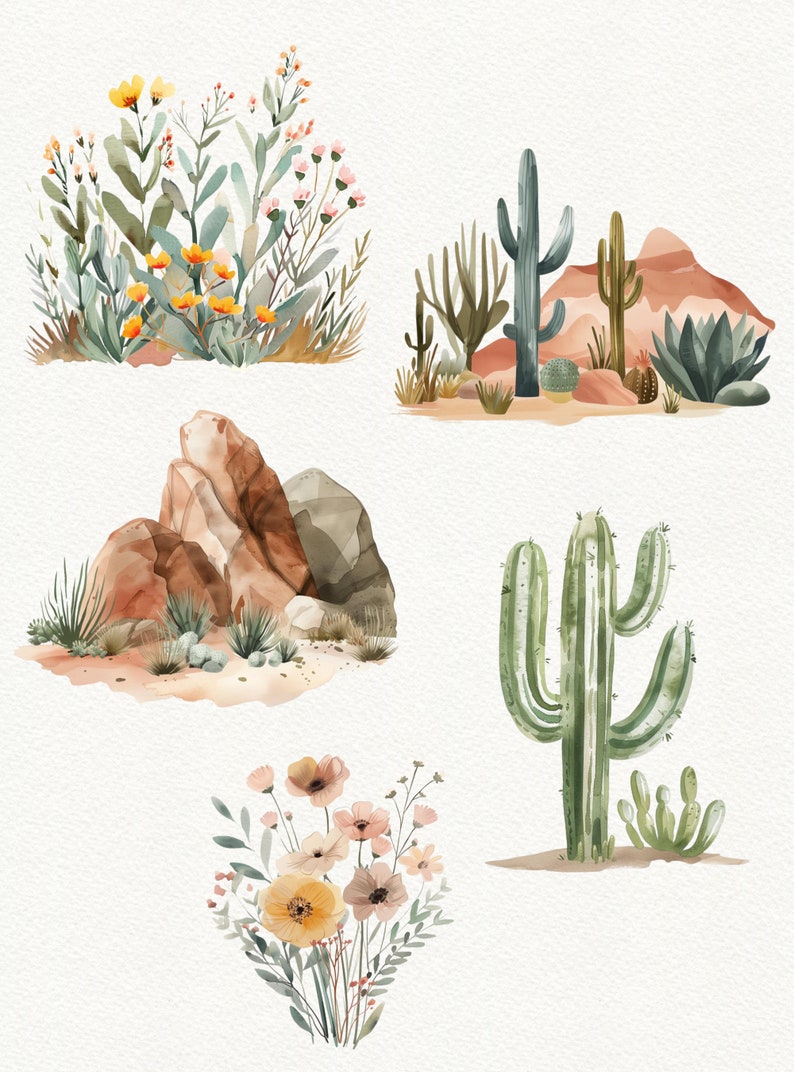 May include: Watercolour illustrations of desert plants and rocks. The illustrations include a variety of cacti, succulents, and flowers in shades of green, yellow, and pink. There are also brown rocks and a desert landscape.