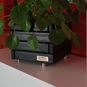 May include: A black wooden planter with a round green plant. The planter has a small wooden tag that reads "Handmade by Steffl Rosenthal".