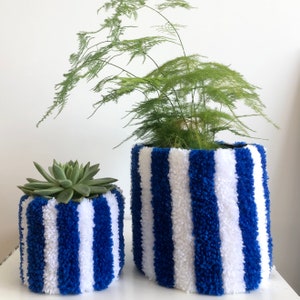 May include: Two striped plant pots, one blue and white and the other white and blue, with plants inside. The larger pot has a green leafy plant and the smaller pot has a succulent.