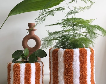 May include: Two white and brown striped planters with different sized plants. The larger planter has a green leafy plant and the smaller planter has a fern.