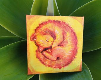 Adorable Hand-Painted Miniature Kitty Painting - "Gotita De Sol"