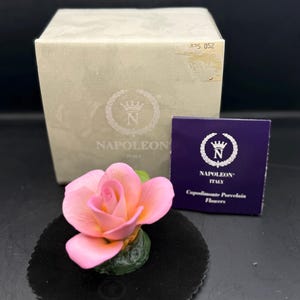 Italy Napoleon Roses - Etsy