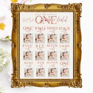 Isn't She ONEderful 1st Birthday Monthly Milestone Photo Poster Template