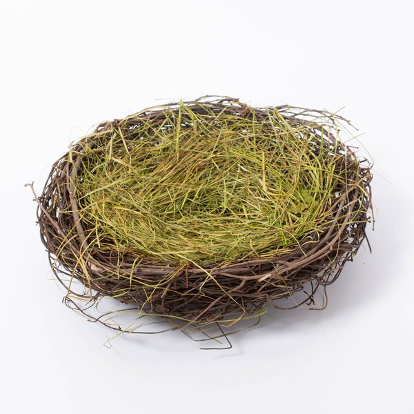 Decorative Bird's Nest for Easter Kid's Craft or Easter Table