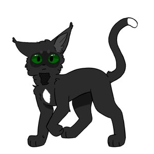 Warrior Cats Ravenpaw Sticker for Sale by Keef-Korner