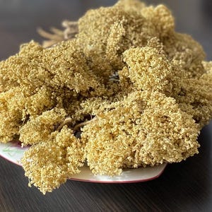 Elderflower 25/50/100 g/Organic Elderberry flower/Herbal tea/Handpicked and dried organic herbs/Nigra Sambucus/Herb Elderberry Flower