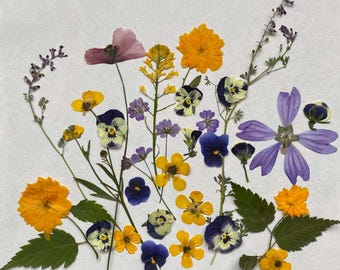 30 Pressed Edible Flowers: Natural Cake Decoration, Scrapbooking