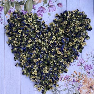 Organic Dried Viola Tricolor 5g/Organic dried Wild pansy flowers/Cake decoration/Herbal tea/Drink garnish/Edible flowers/Crafts/Bath&Beauty