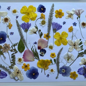 50-60 pcs of pressed edible flowers/Cake decoration/Edible flowers for cake decoration/Pressed flowers for wedding cake/Scrapbooking